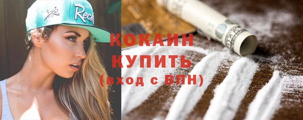 бошки Белокуриха